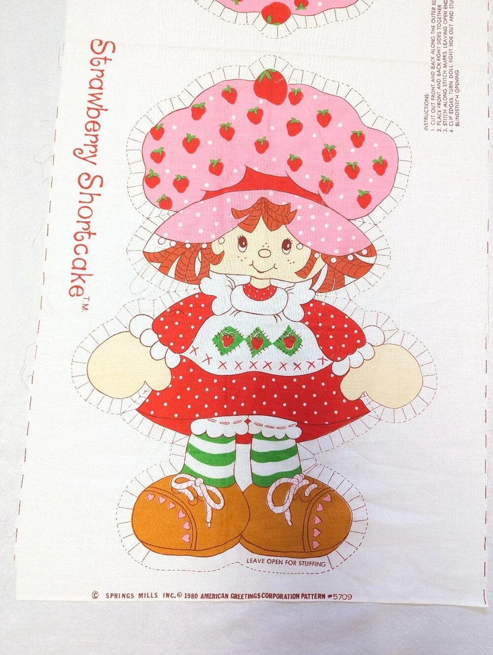 Strawberry Shortcake 20